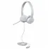 LENOVO Casque Stéréo GXD 110 Gris